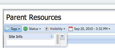 The "Site Info" tag used in a page